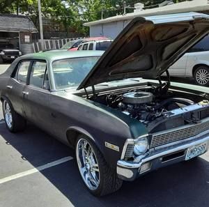 Meet your Posher, Bernard